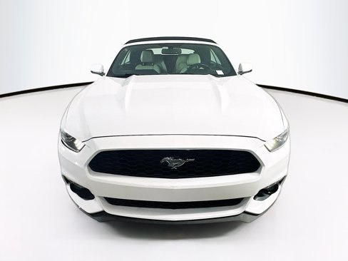 Used 2017 Ford Mustang Premium image 2