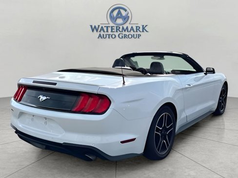 Used 2022 Ford Mustang Premium image 5