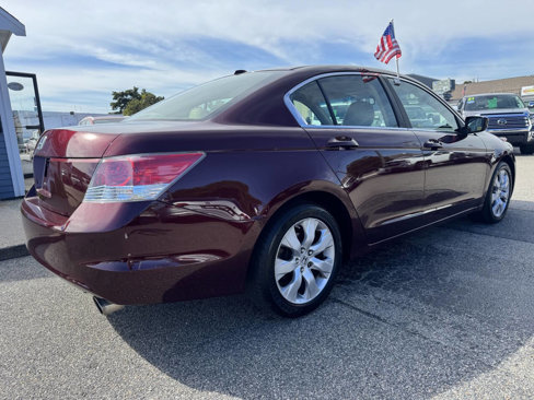 Used 2010 Honda Accord EX-L image 8