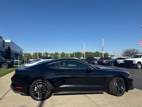 Used 2019 Ford Mustang Coupe w/ Equipment Group 101A image 5