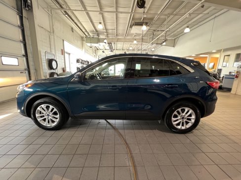 Used 2020 Ford Escape SE image 6