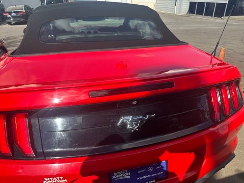 Used 2019 Ford Mustang Premium image 4