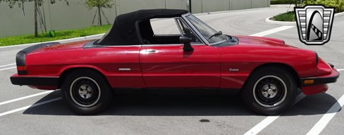 Used 1986 Alfa Romeo Spider Graduate image 16