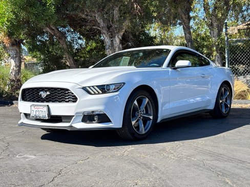 Used 2015 Ford Mustang Coupe w/ Equipment Group 051A image 4