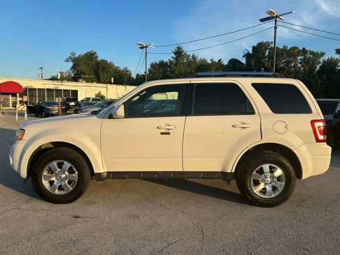 Used 2011 Ford Escape Limited image 2