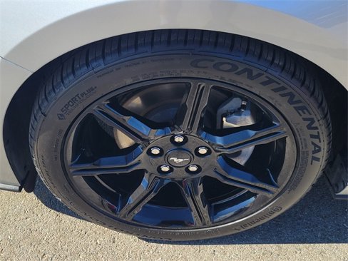 Used 2019 Ford Mustang Coupe w/ Equipment Group 101A image 14