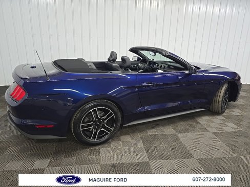 Used 2018 Ford Mustang Premium w/ Equipment Group 201A image 3