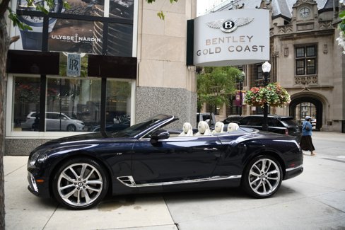 Used 2022 Bentley Continental GT image 6