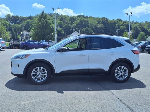 Used 2022 Ford Escape SE image 5