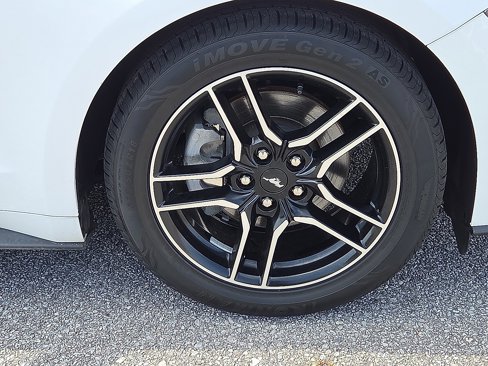 Used 2019 Ford Mustang Premium image 7