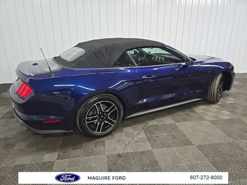 Used 2018 Ford Mustang Premium w/ Equipment Group 201A image 13