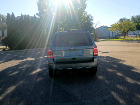 Used 2011 Ford Escape XLT w/ 203A Rapid Spec Order Code image 4