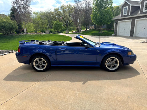 Used 2002 Ford Mustang GT image 7