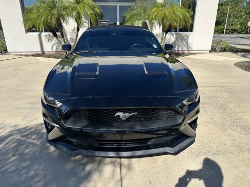 Used 2019 Ford Mustang Premium w/ Equipment Group 201A image 10