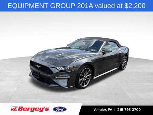 Certified 2019 Ford Mustang Premium w/ Equipment Group 201A image 1