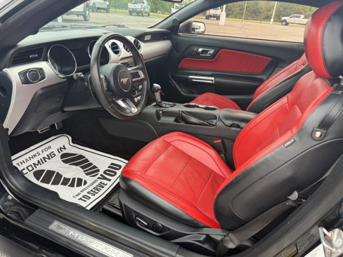 Used 2015 Ford Mustang GT Premium w/ Equipment Group 401A image 15