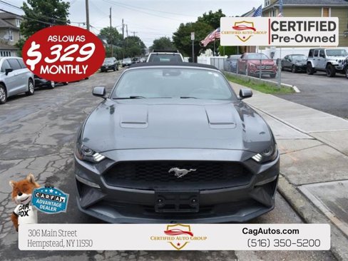 Used 2023 Ford Mustang Premium image 1