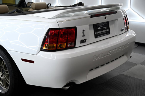 Used 1999 Ford Mustang Cobra image 16