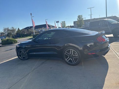 Used 2019 Ford Mustang Coupe w/ Equipment Group 101A image 2