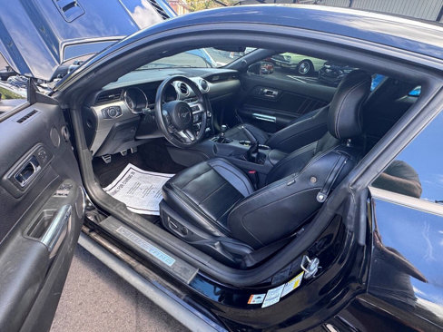 Used 2015 Ford Mustang GT Premium w/ Equipment Group 401A image 12