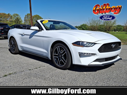 Certified 2023 Ford Mustang Premium image 1