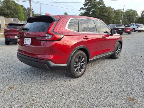 Used 2026 Honda CR-V EX-L image 6