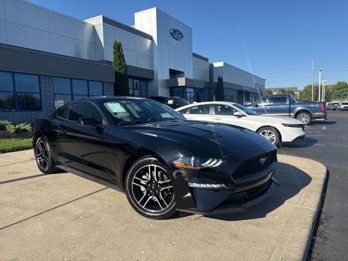 Used 2019 Ford Mustang Coupe w/ Equipment Group 101A image 6