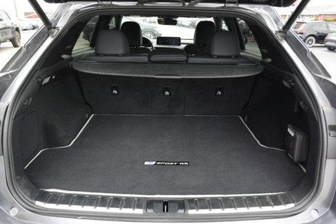 Used 2022 Lexus RX 350 F Sport image 41