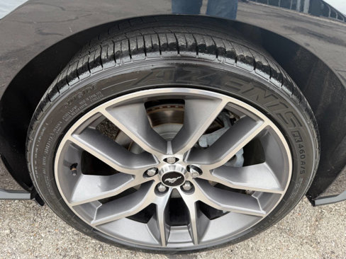 Used 2015 Ford Mustang GT Premium w/ Equipment Group 401A image 10