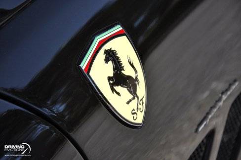 Used 1998 Ferrari 550 Maranello Coupe image 12
