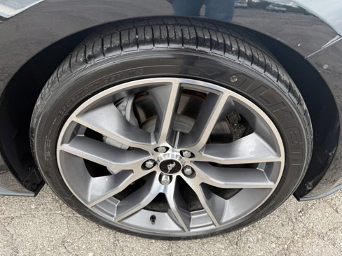 Used 2015 Ford Mustang GT Premium w/ Equipment Group 401A image 12