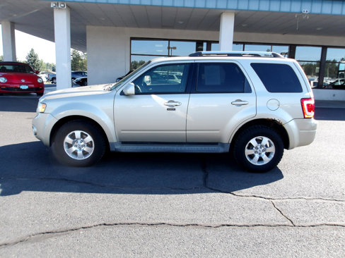 Used 2010 Ford Escape Limited image 2