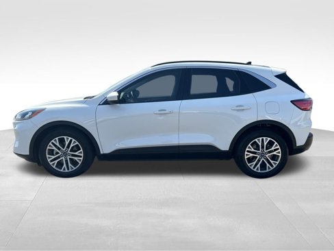 Certified 2022 Ford Escape SEL image 2