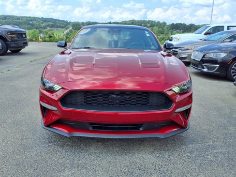 Certified 2021 Ford Mustang Coupe w/ Equipment Group 101A image 6