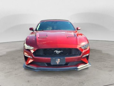 Used 2019 Ford Mustang Premium w/ Equipment Group 201A image 5