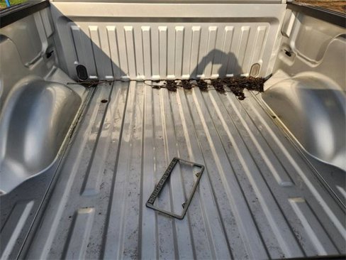 Used 2010 Ford F150 XL image 9