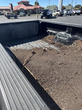 Used 1999 Ford F350 XLT image 13