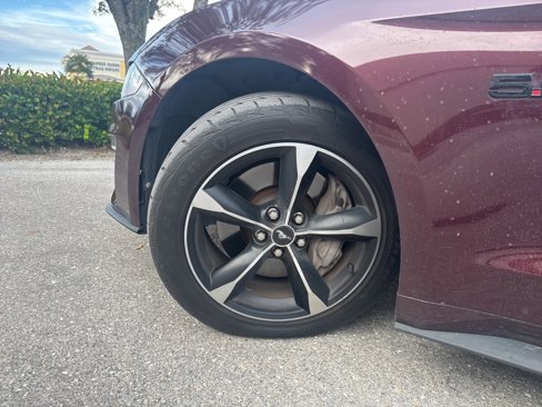 Used 2018 Ford Mustang GT w/ Equipment Group 301A image 10