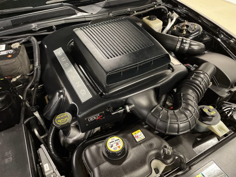 Used 2008 Ford Mustang GT Premium image 9