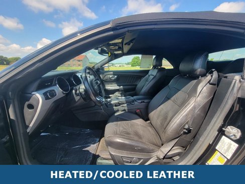 Used 2017 Ford Mustang Premium image 5