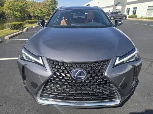Used 2020 Lexus UX 250h w/ Luxury Package image 12