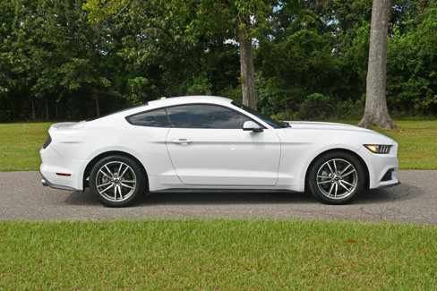 Used 2015 Ford Mustang Premium w/ Equipment Group 201A image 5