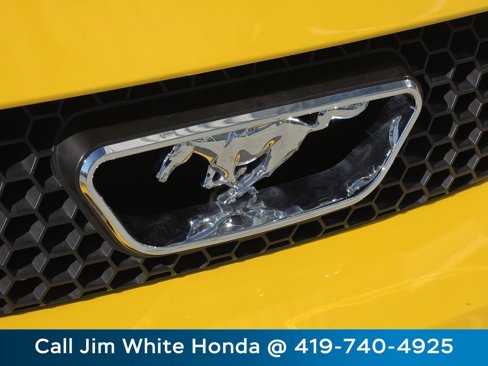 Used 2004 Ford Mustang GT image 27