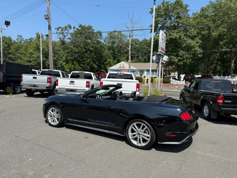Used 2016 Ford Mustang Premium w/ Equipment Group 201A image 4