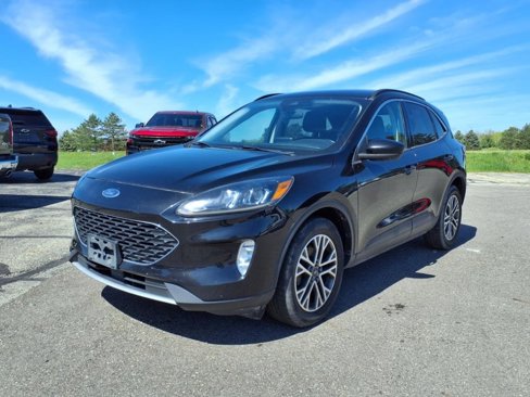 Used 2021 Ford Escape SEL image 3
