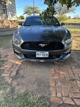Used 2015 Ford Mustang Coupe w/ Wheel & Stripe Package image 1