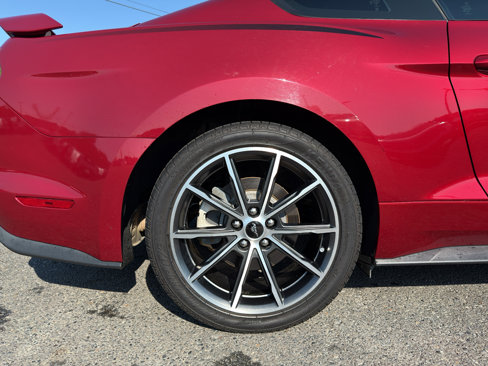 Certified 2019 Ford Mustang Coupe w/ Equipment Group 101A image 7