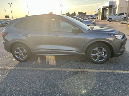 Used 2024 Ford Escape ST-Line image 4