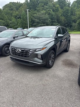 Used 2024 Hyundai Tucson Blue image 1