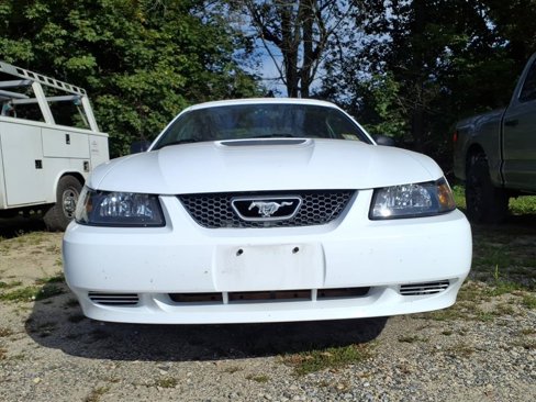 Used 2000 Ford Mustang Convertible image 2